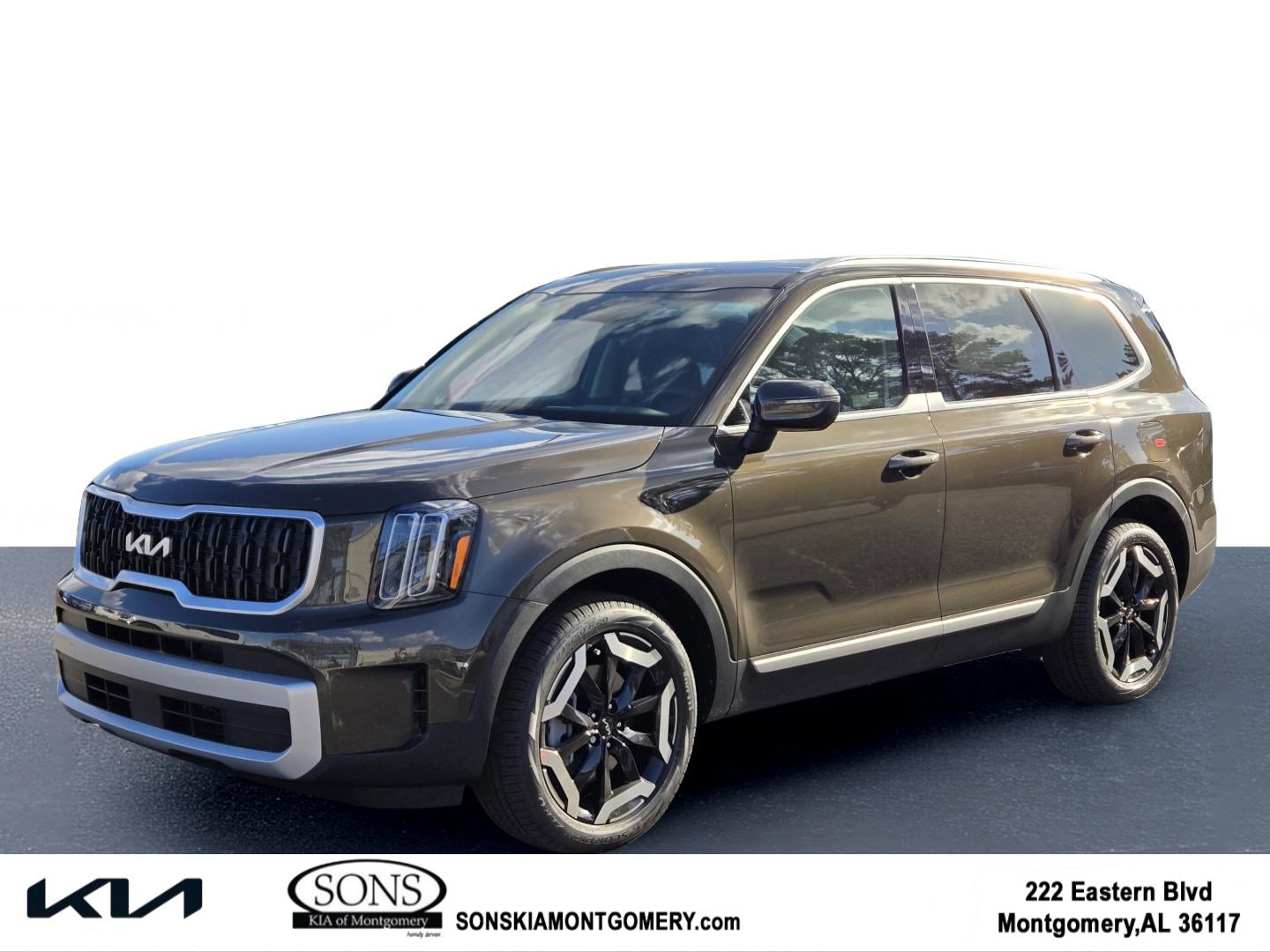 2025 Kia Telluride EX's photo