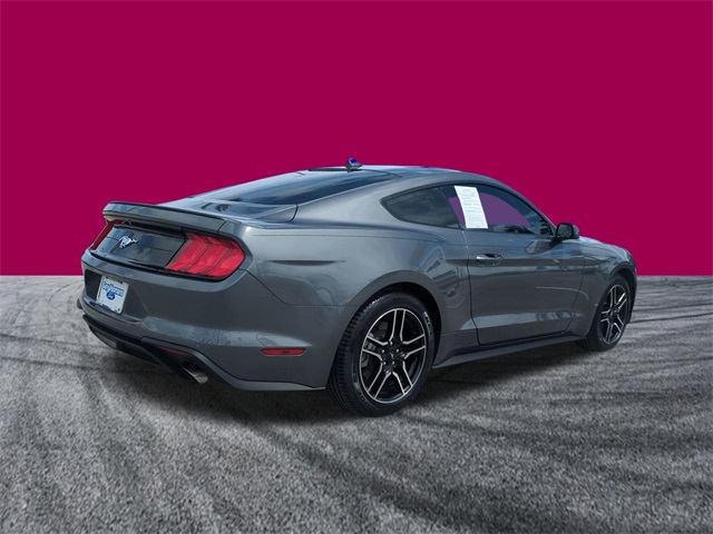 2021 Ford Mustang EcoBoost Premium photo 4