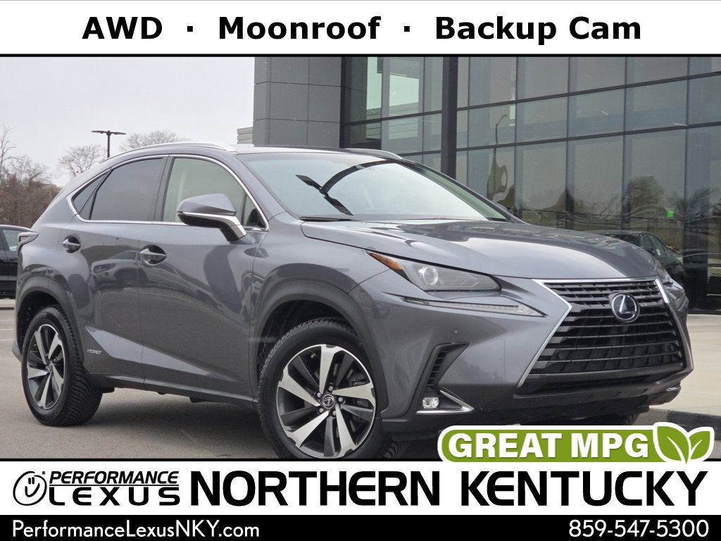 2018 Lexus NX 300h's photo