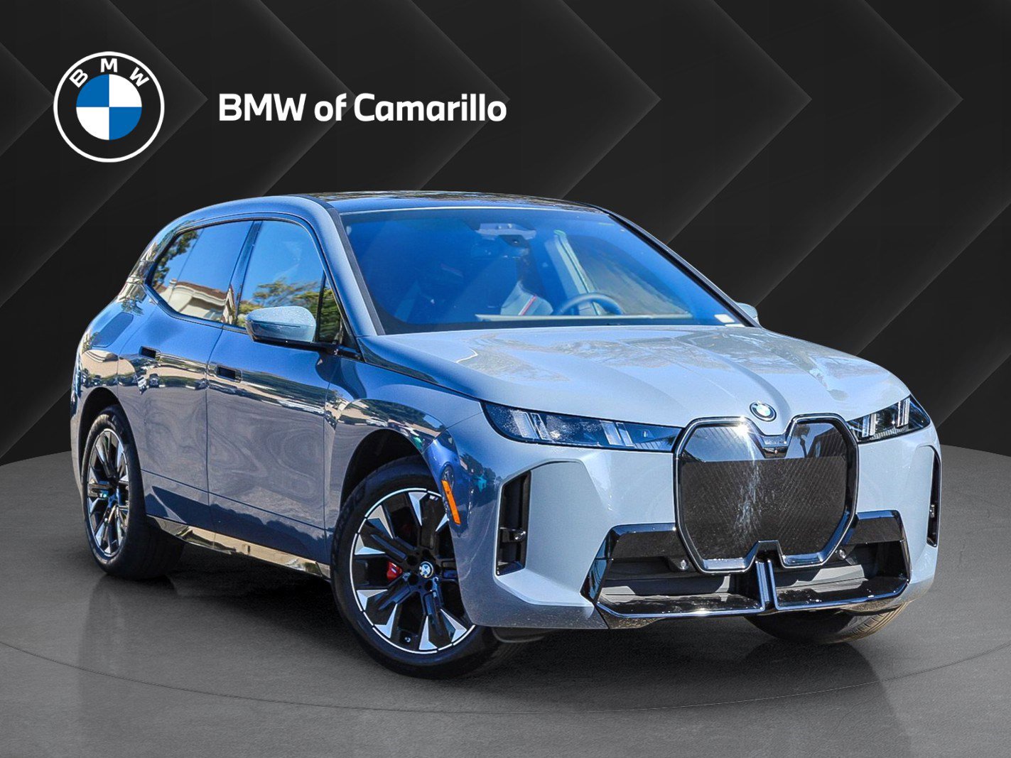 2026 BMW iX 60's photo