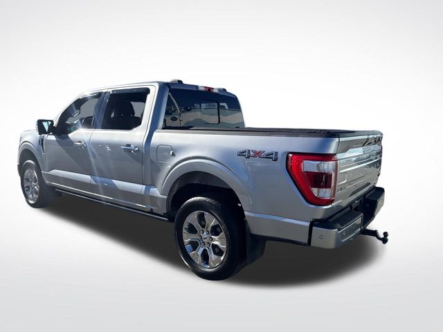 2021 Ford F-150 Platinum photo 3