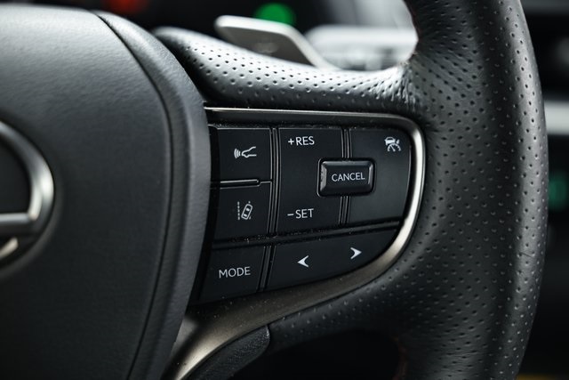 2024 Lexus UX 250h F SPORT Handling photo 35