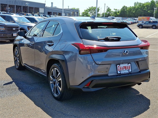 2019 Lexus UX 250h photo 2