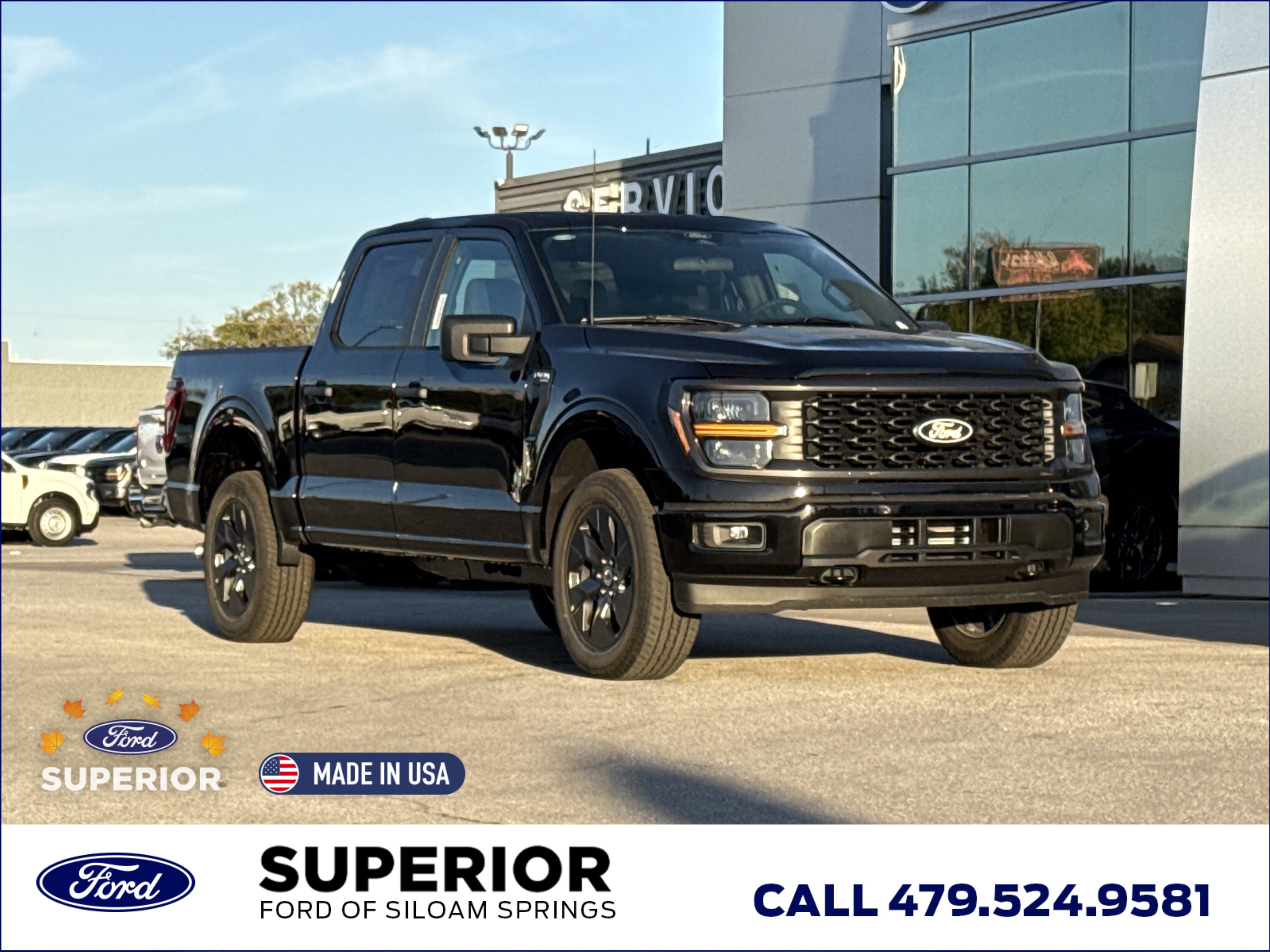 2025 Ford F-150 STX's photo