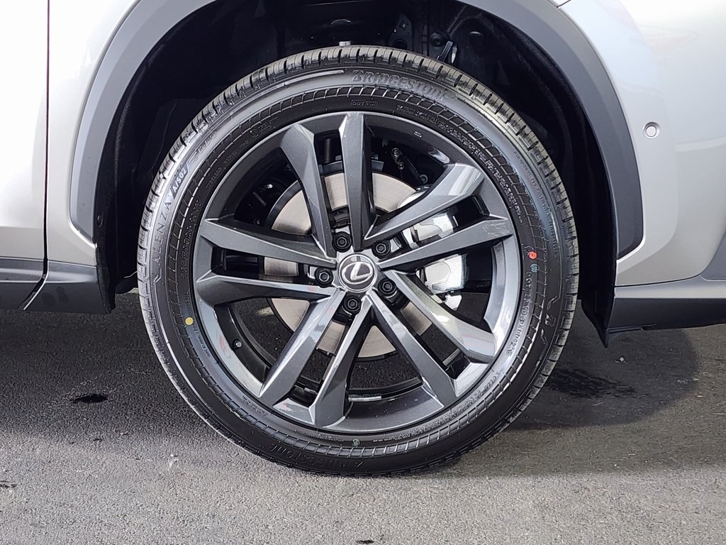 2025 Lexus NX 350h Premium photo 4