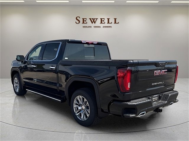 2025 Gmc Sierra 1500 Denali photo 3