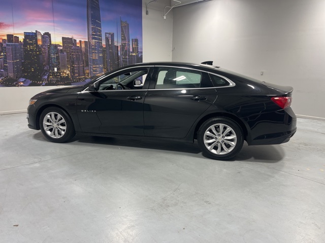 2023 Chevrolet Malibu 1LT photo 3