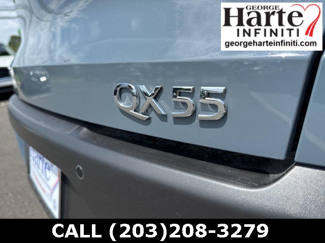 2025 Infiniti QX55 Sensory photo 29