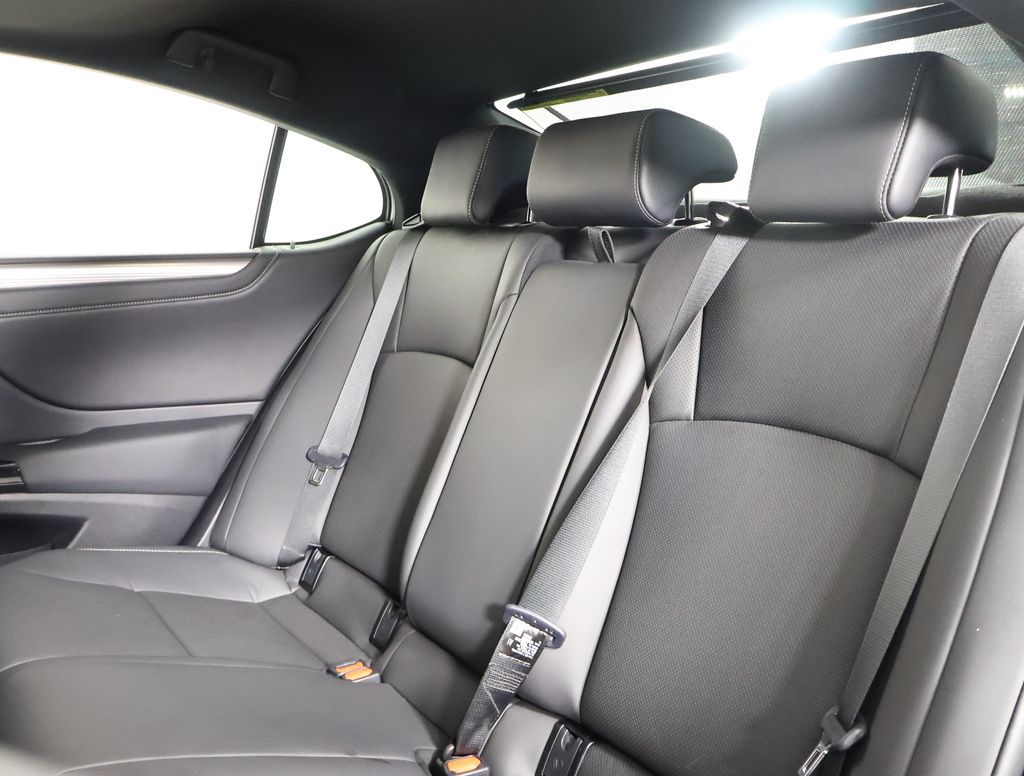 2024 Lexus ES 300h F SPORT Handling photo 10