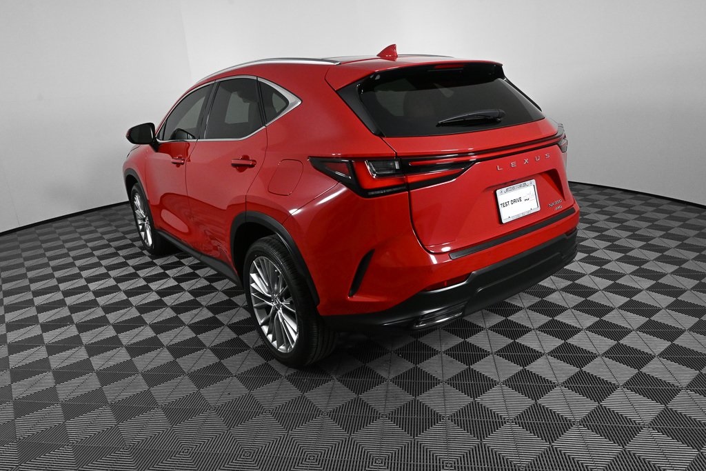 2024 Lexus NX 350 Luxury photo 4