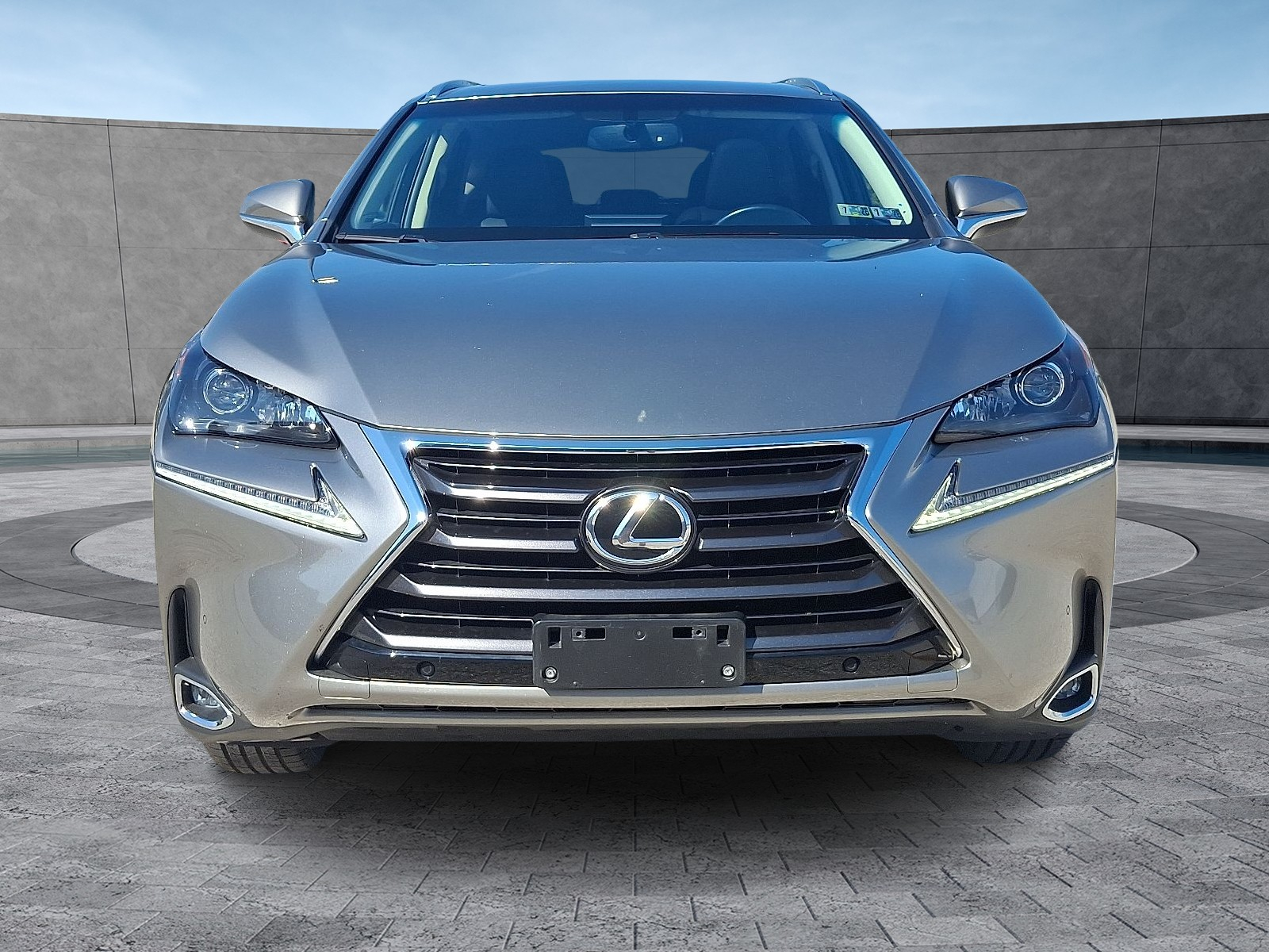 2016 Lexus NX 200t Luxury photo 3