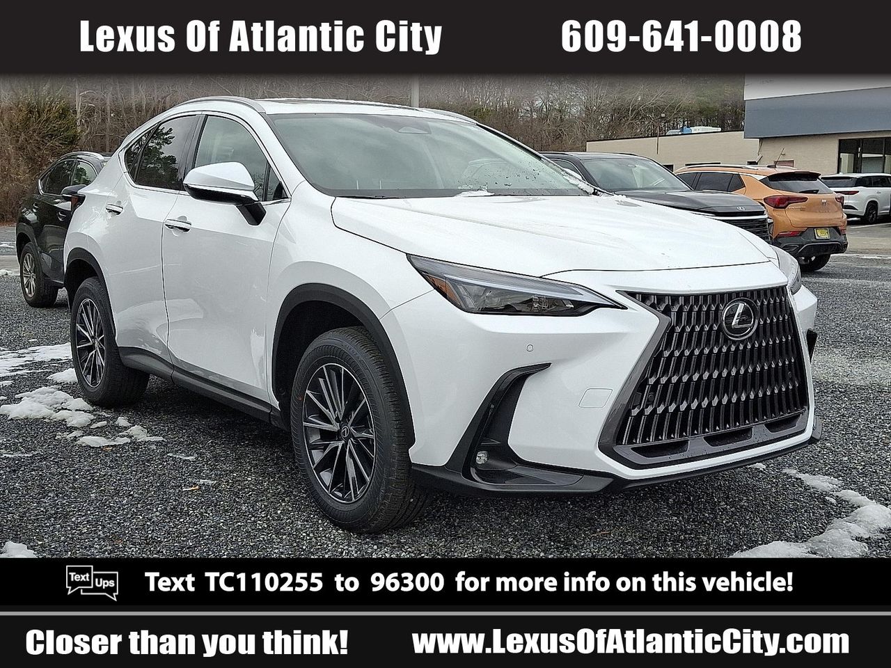 2026 Lexus NX 350's photo