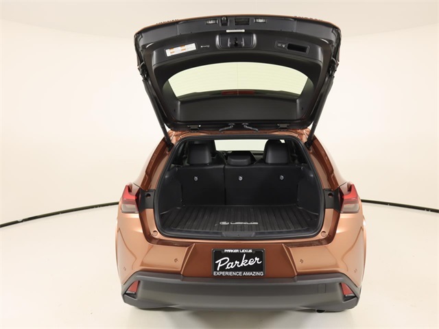 2025 Lexus UX Premium photo 22
