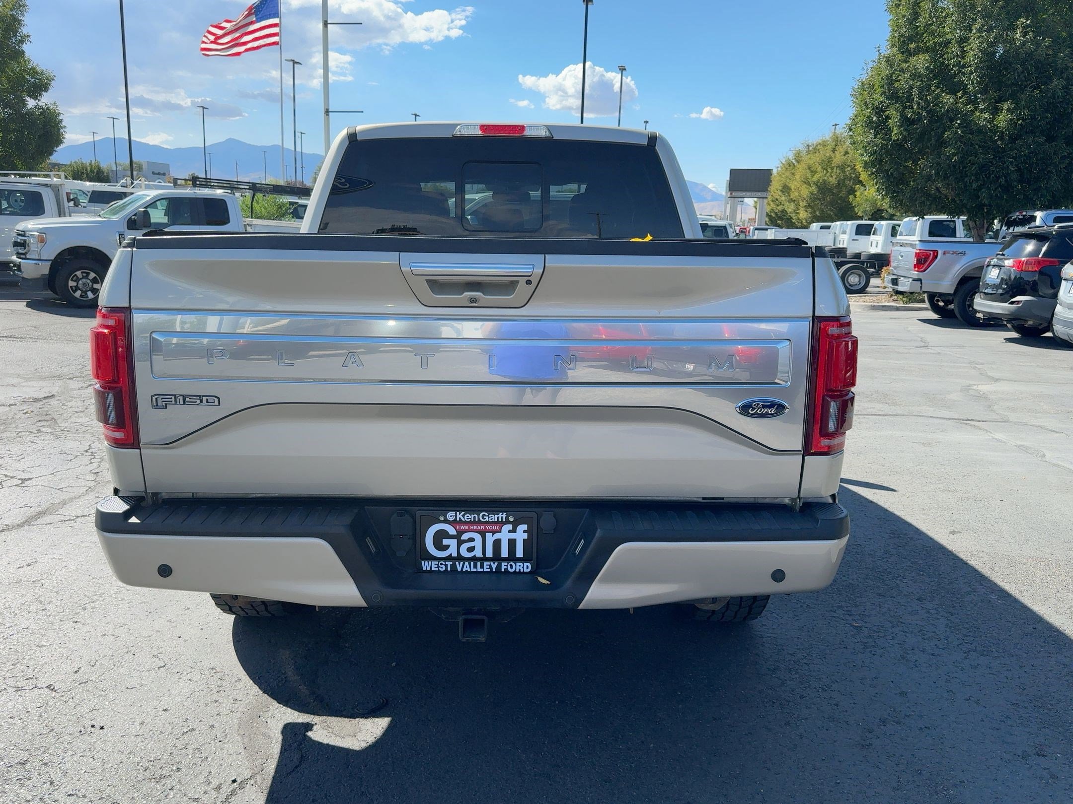 2017 Ford F-150 Platinum photo 4
