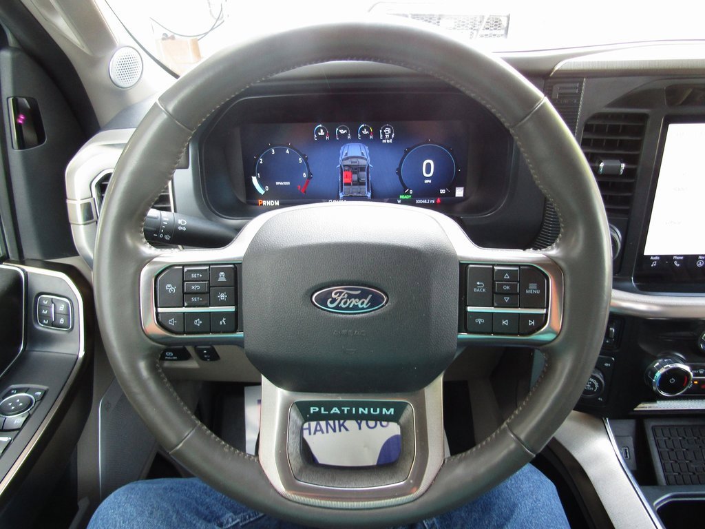2024 Ford F-150 Platinum photo 25
