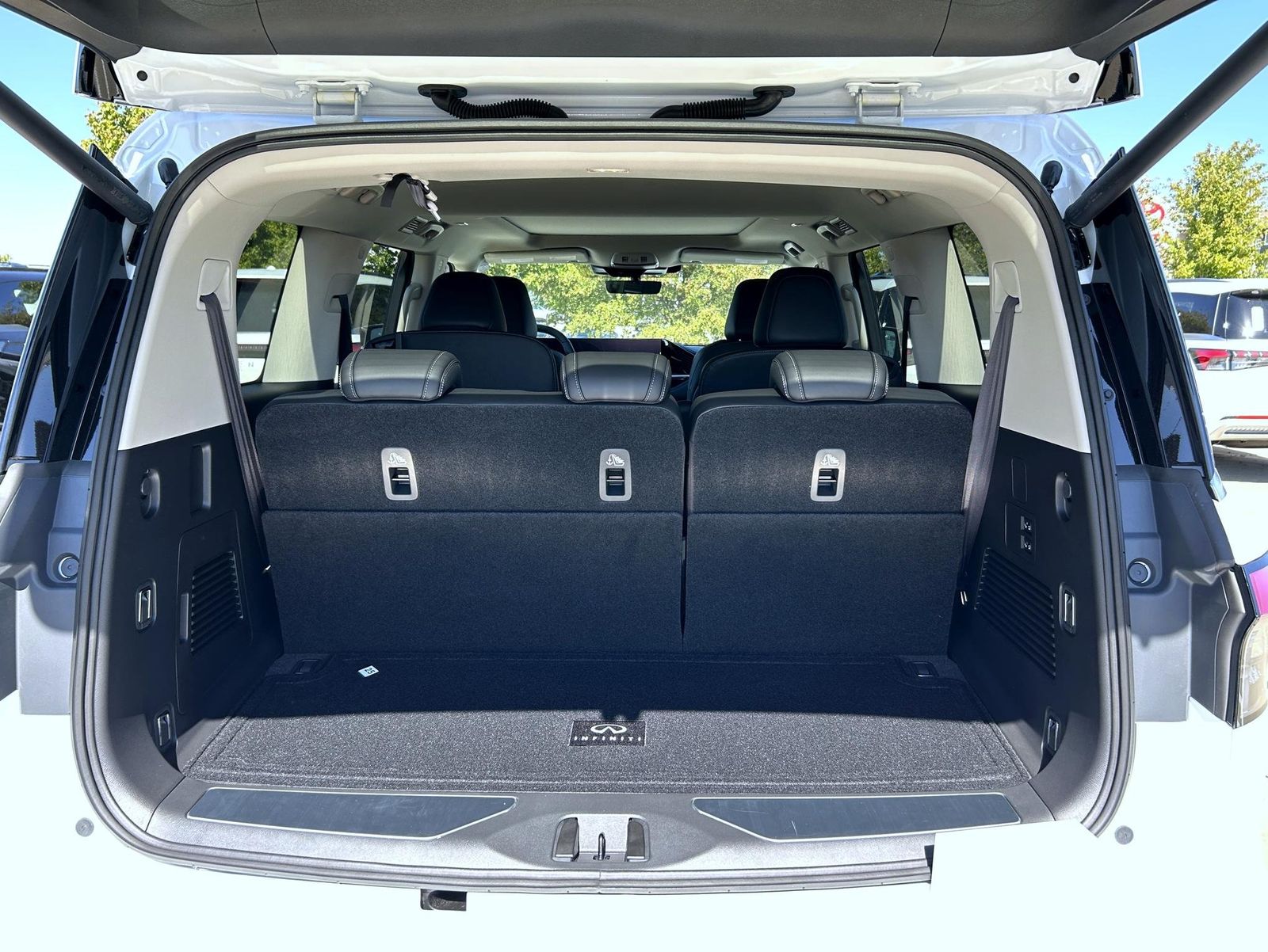 2026 Infiniti QX80 Pure photo 9