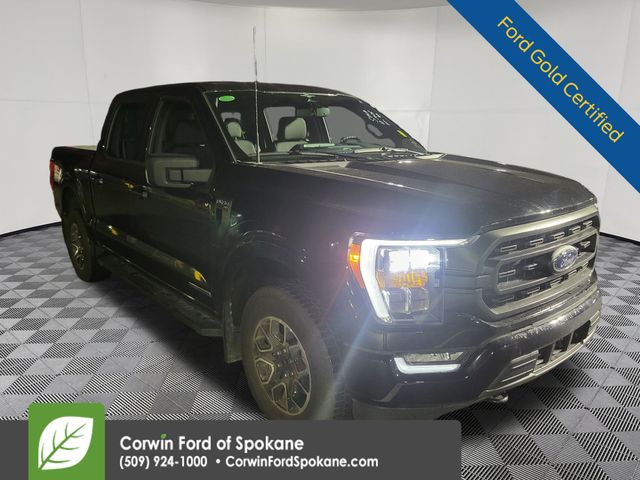 2023 Ford F-150 XLT's photo