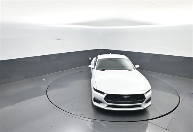 2025 Ford Mustang EcoBoost photo 17