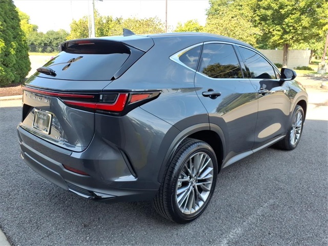 2023 Lexus NX 350h Luxury photo 2