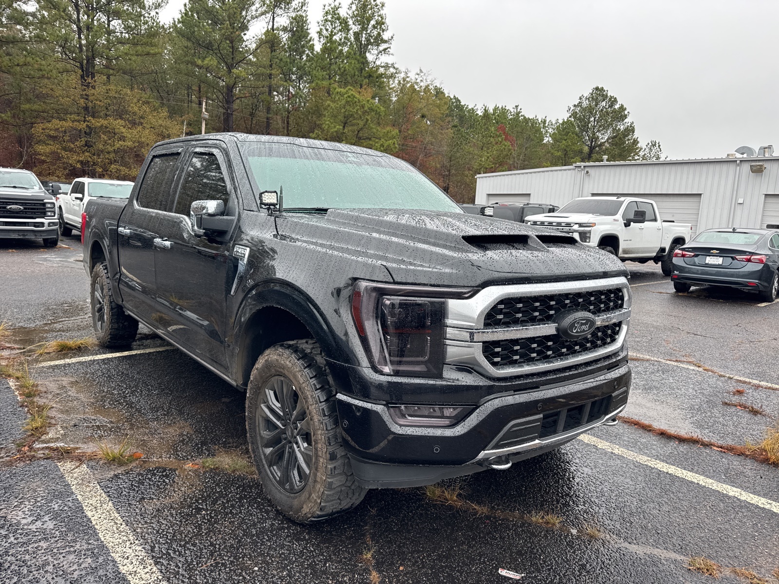 2023 Ford F-150 Platinum's photo