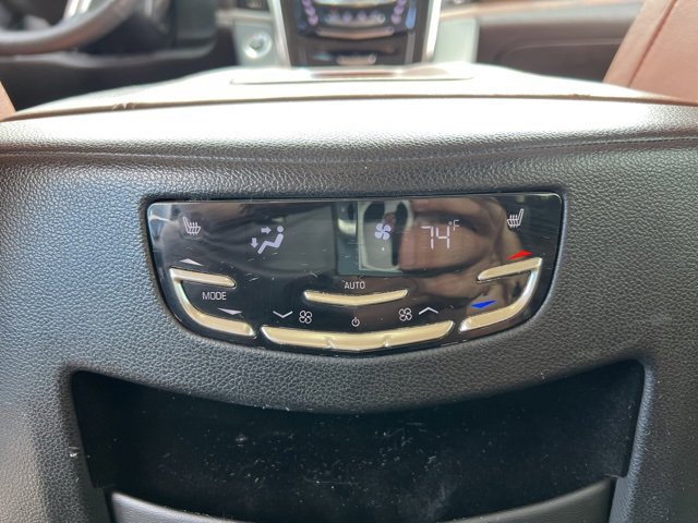 View 25