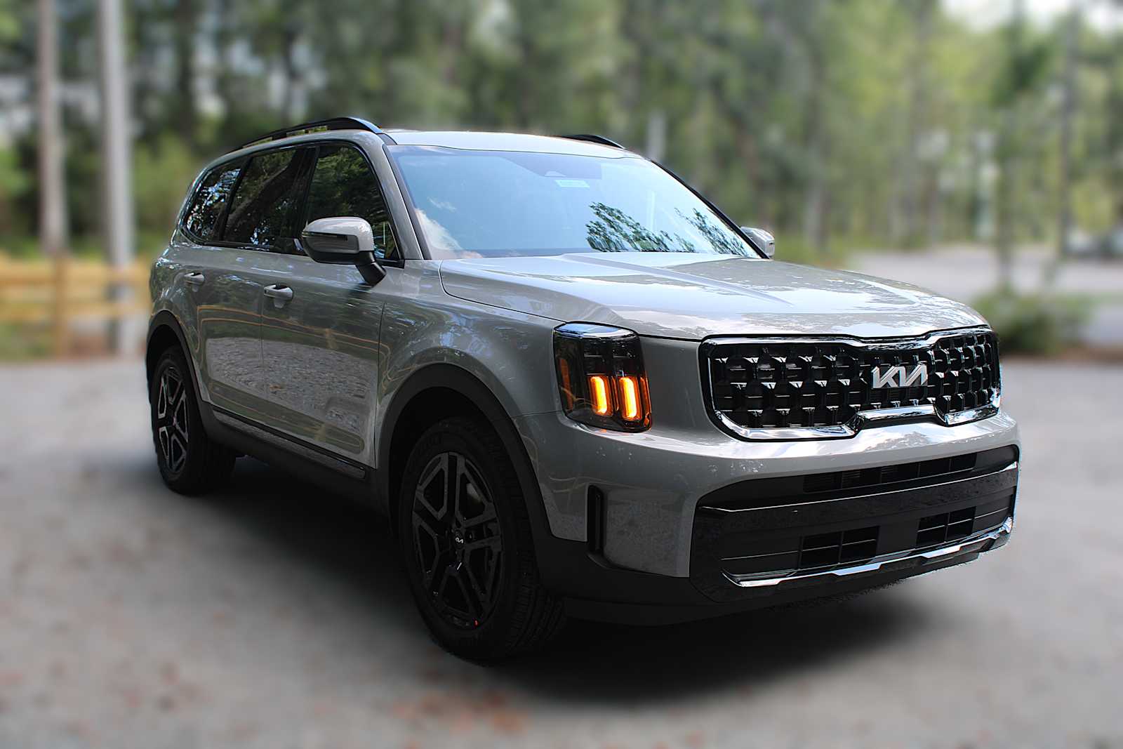 2025 Kia Telluride EX X-Line photo 16
