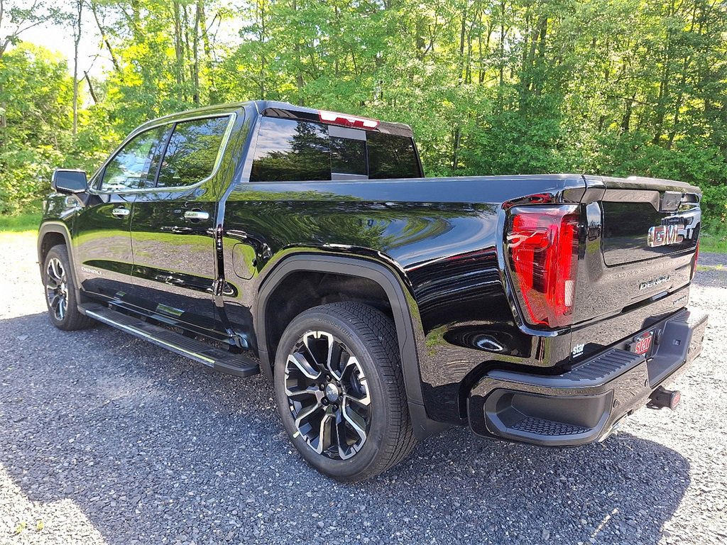 2025 Gmc Sierra 1500 Denali photo 3