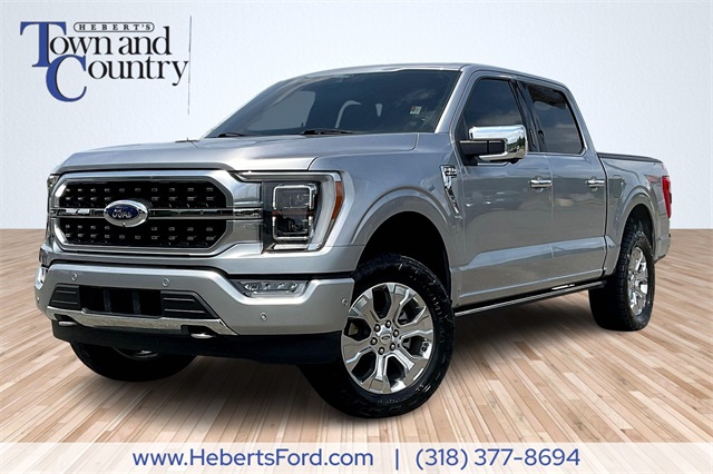 2021 Ford F-150 Platinum's photo