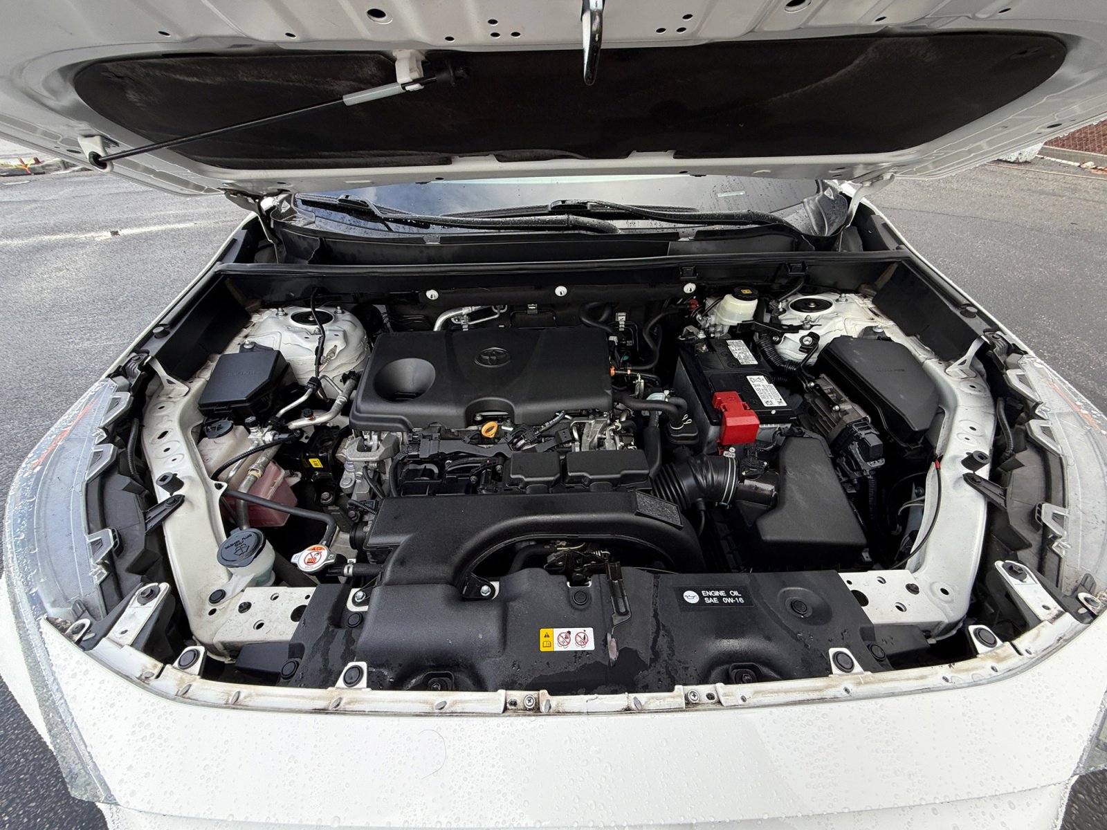 2021 Toyota RAV4 XLE photo 20