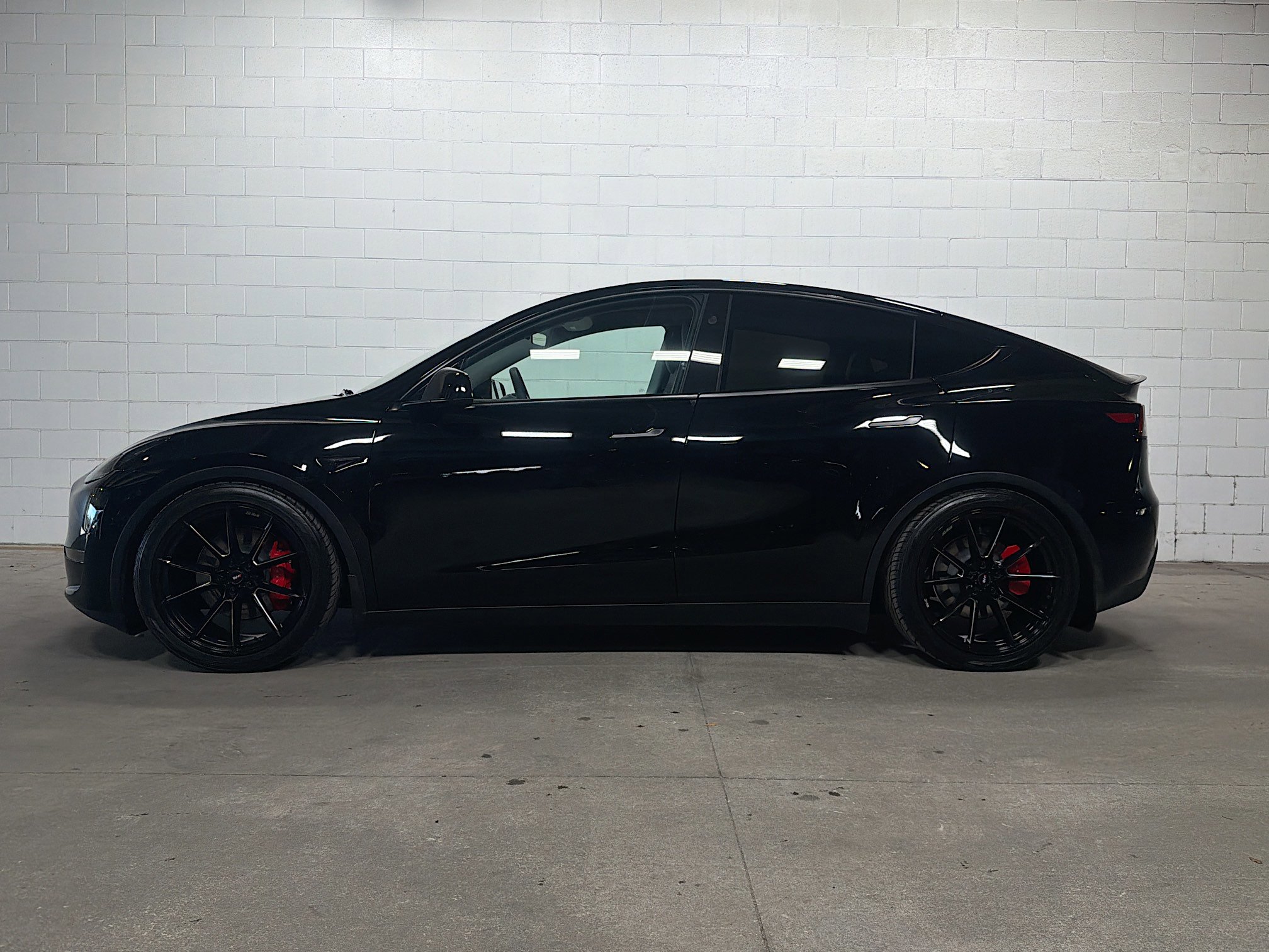 Used 2024 Tesla Model Y Performance with VIN 7SAYGDEF3RA331835 for sale in Tampa, FL