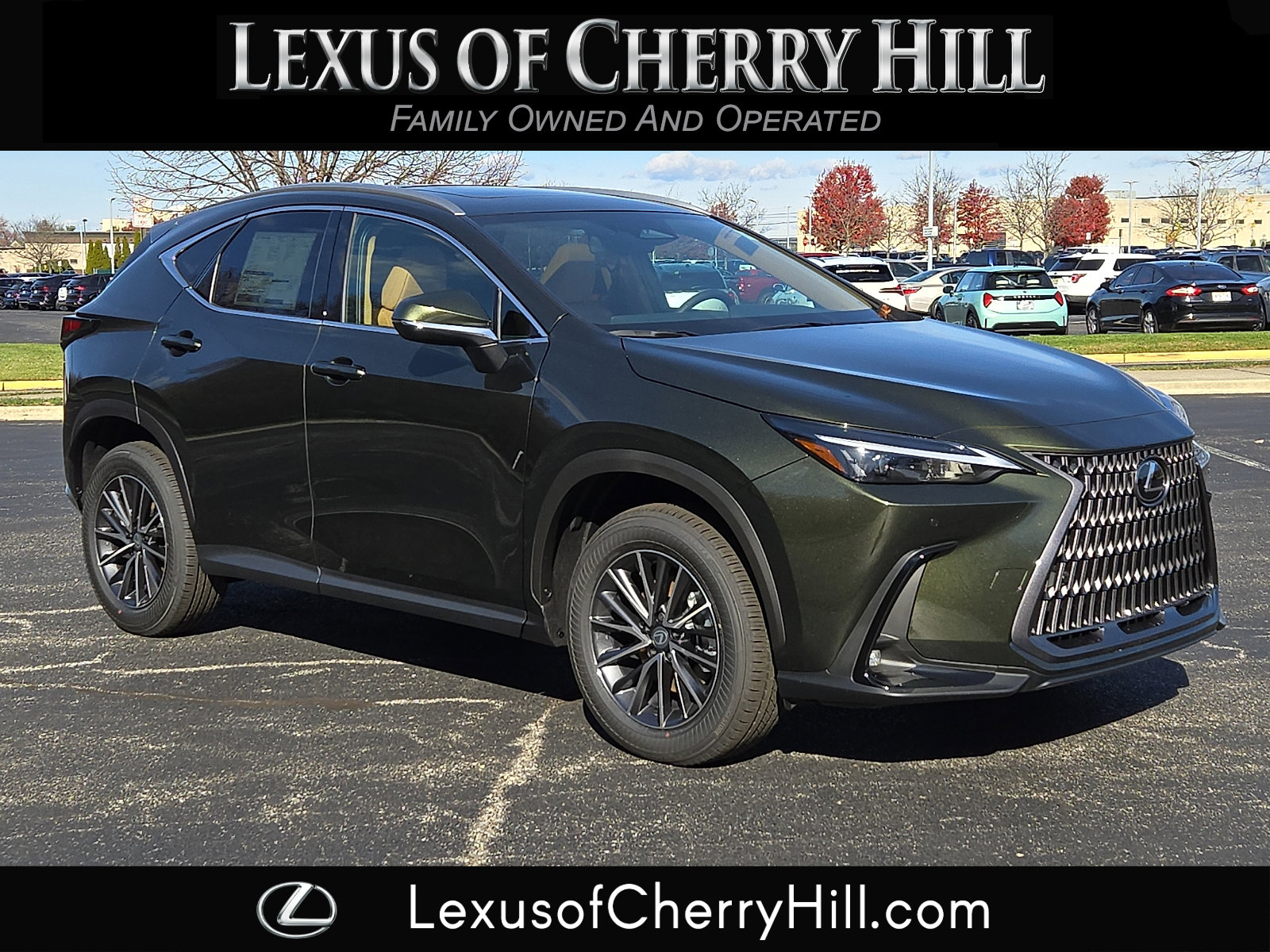 2026 Lexus NX 350's photo