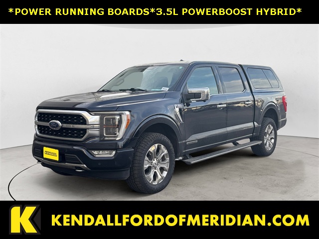 2021 Ford F-150 Platinum's photo