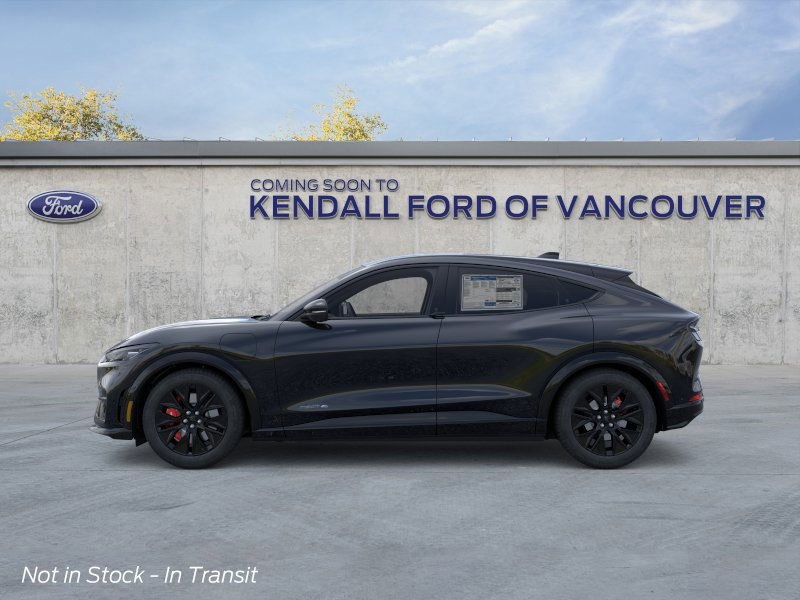 2025 Ford Mustang Mach-E Premium photo 3
