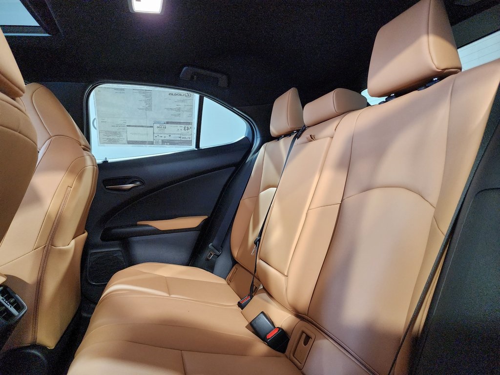 2025 Lexus UX photo 22