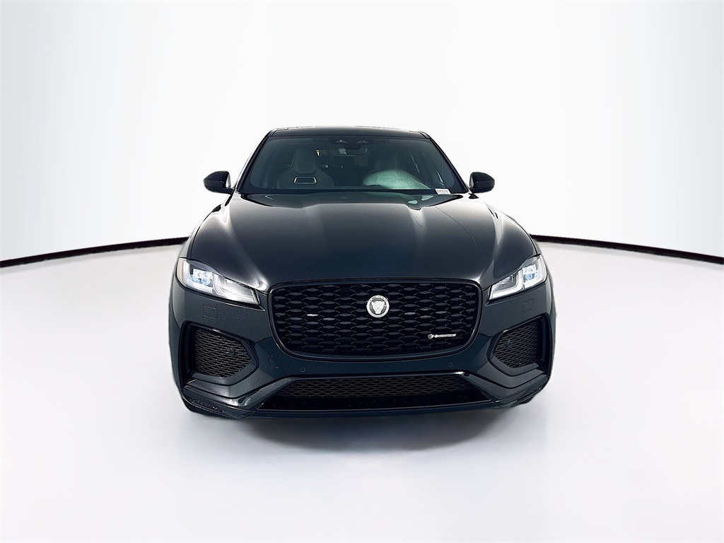 New 2025 Black Jaguar P250 image 2