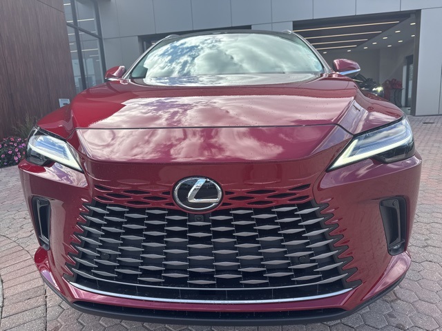2025 Lexus RX 350 Luxury photo 20