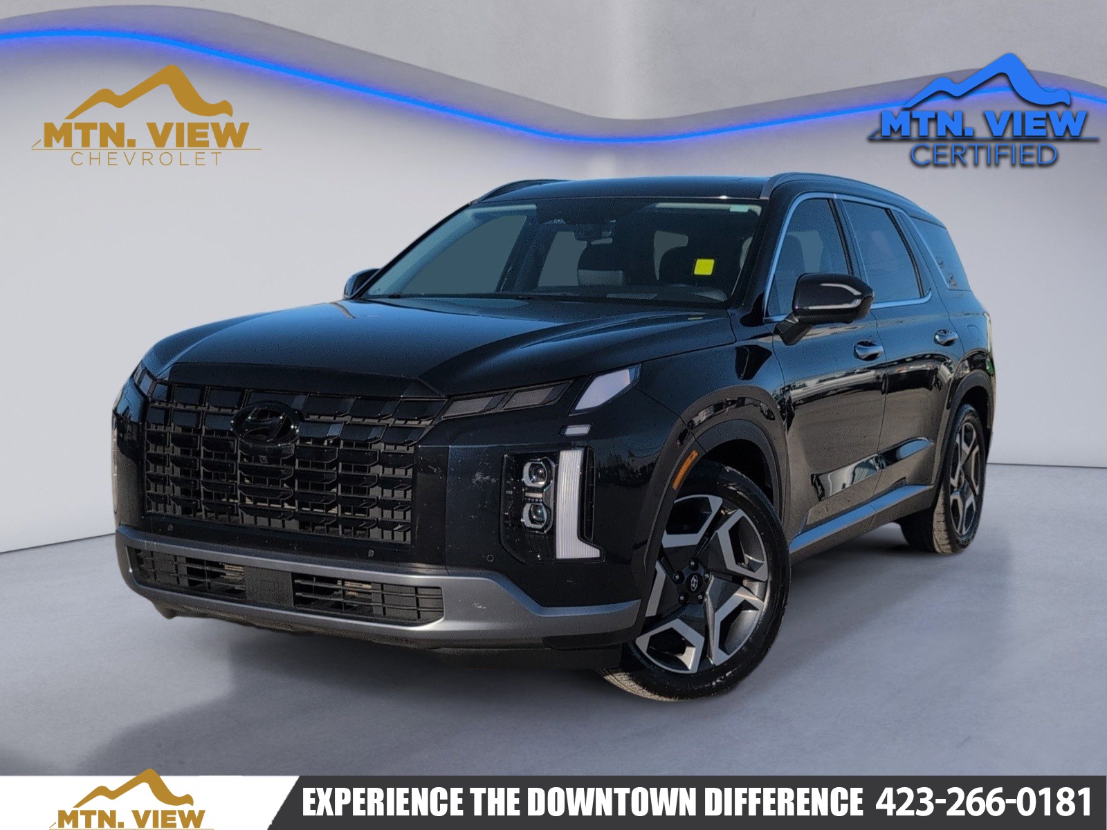 2023 Hyundai Palisade Limited's photo