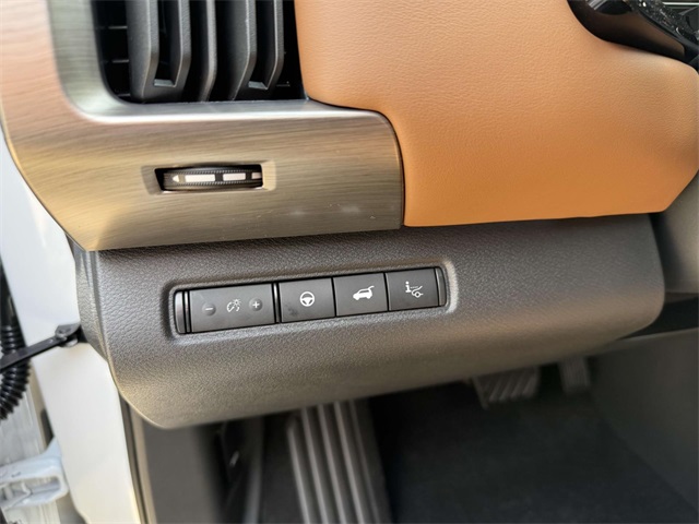 2025 Nissan Pathfinder Platinum photo 29
