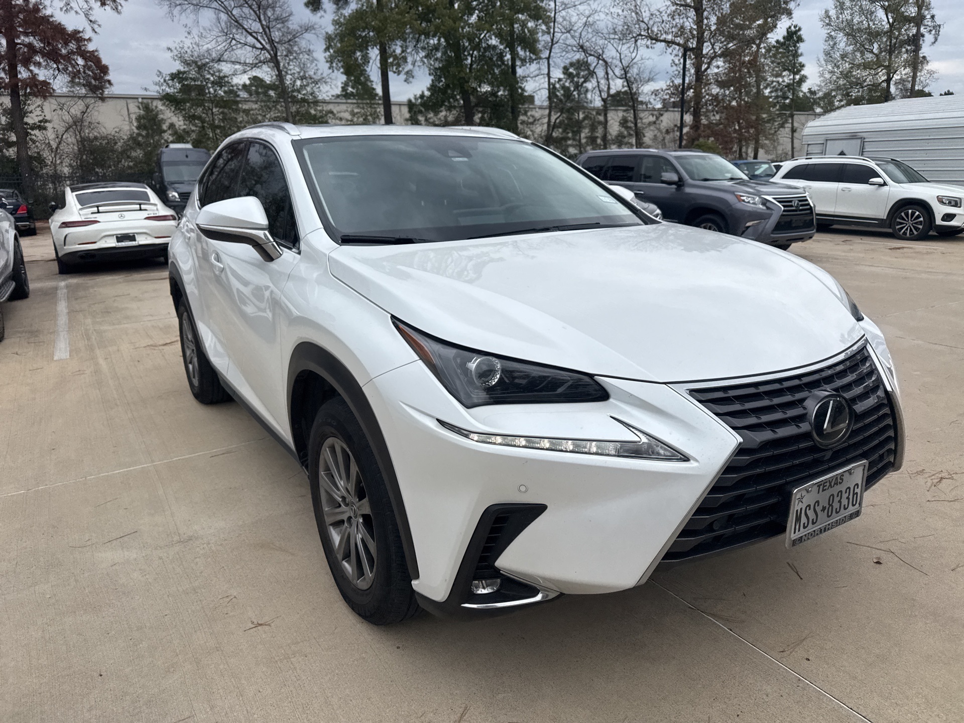 2020 Lexus NX Base's photo