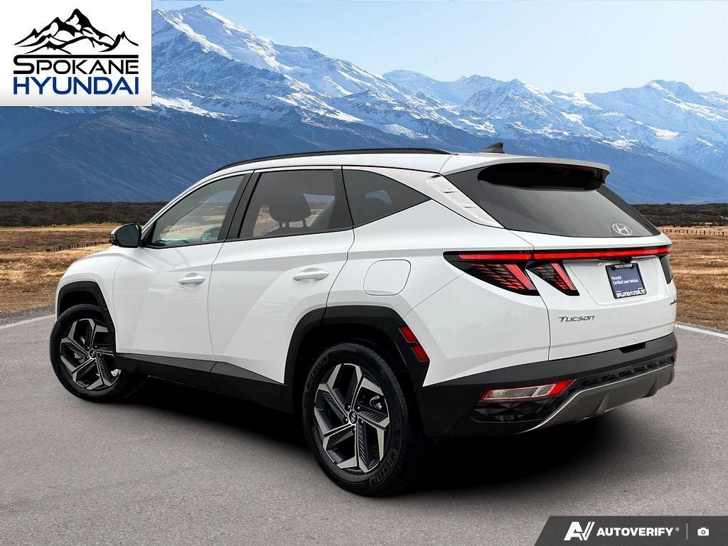 2024 Hyundai Tucson Hybrid Limited Sport photo 2