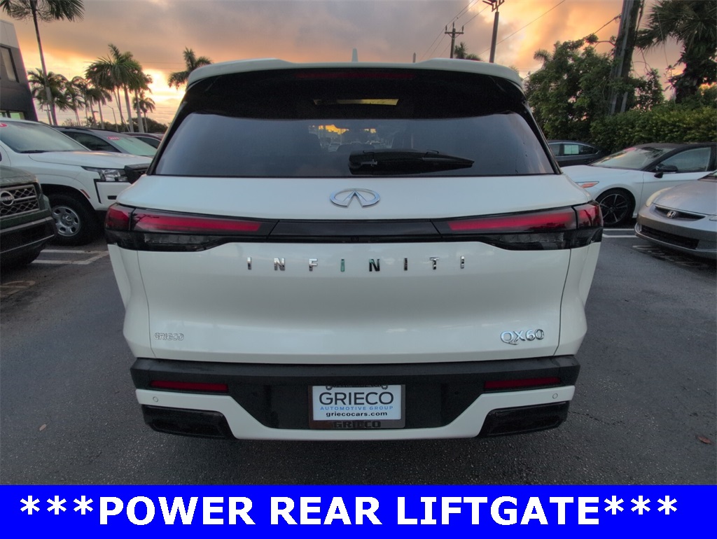2024 Infiniti QX60 Luxe photo 13