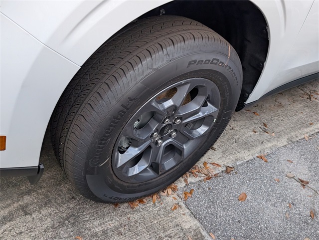 2025 Ford Maverick XLT photo 3