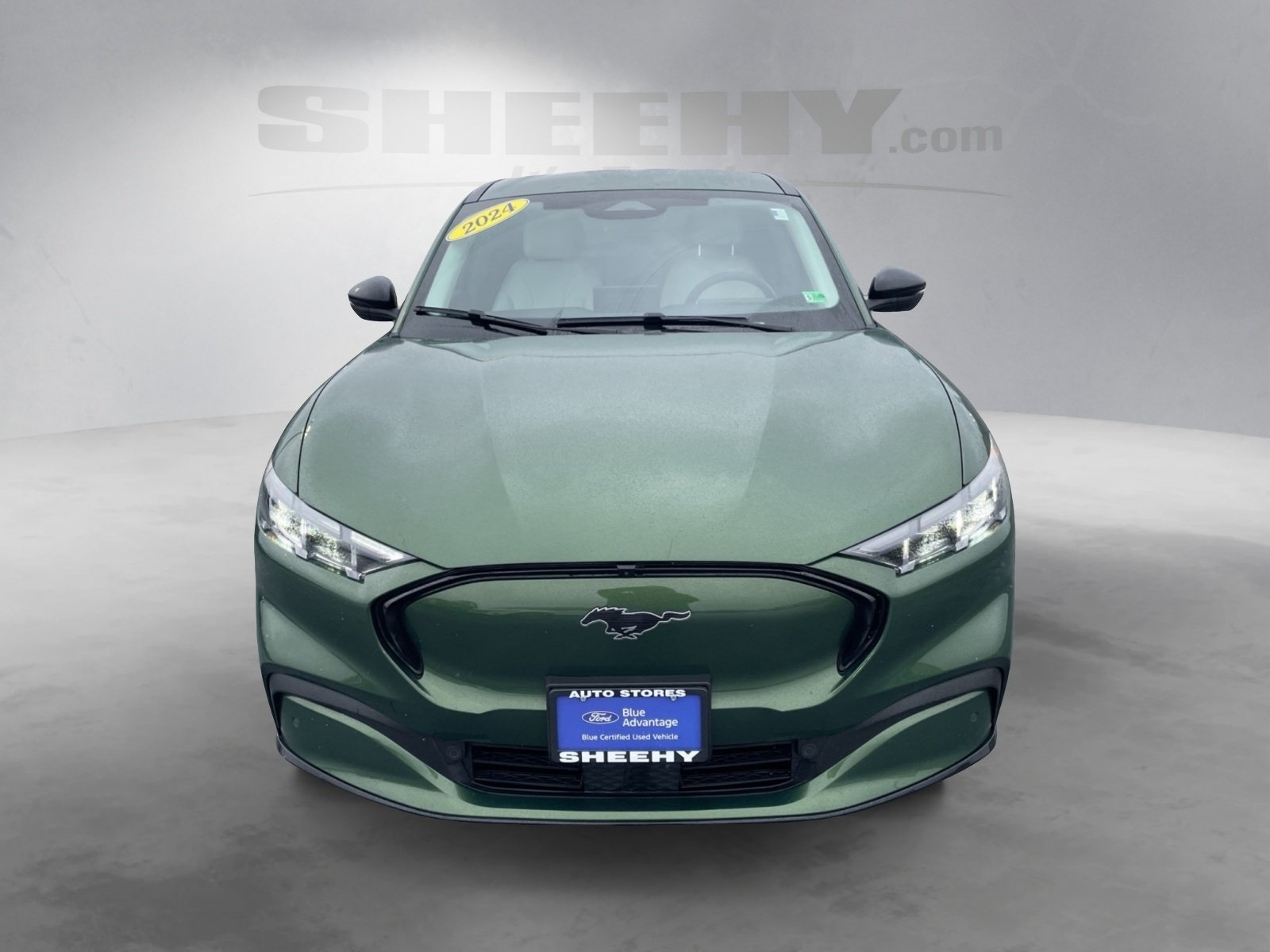 2024 Ford Mustang Mach-E Premium photo 15