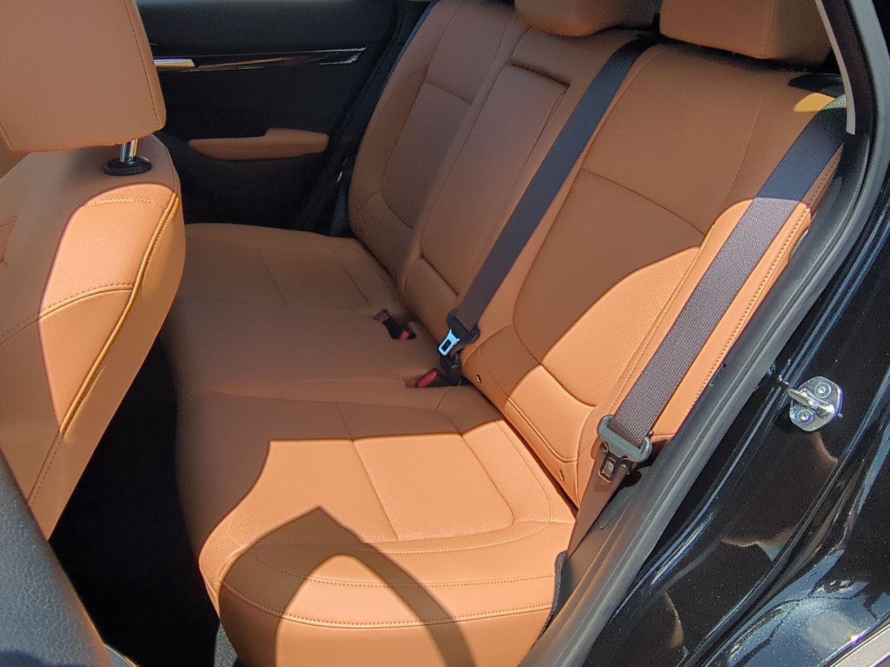 2024 Kia Seltos EX photo 19