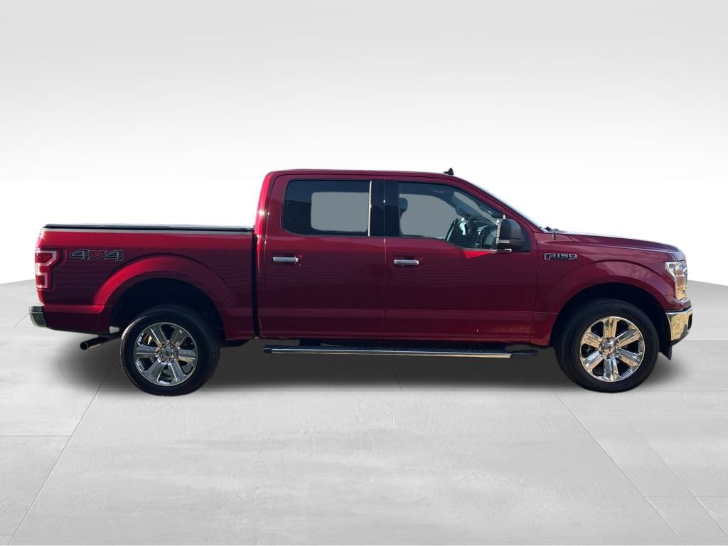 2019 Ford F-150 XLT photo 6