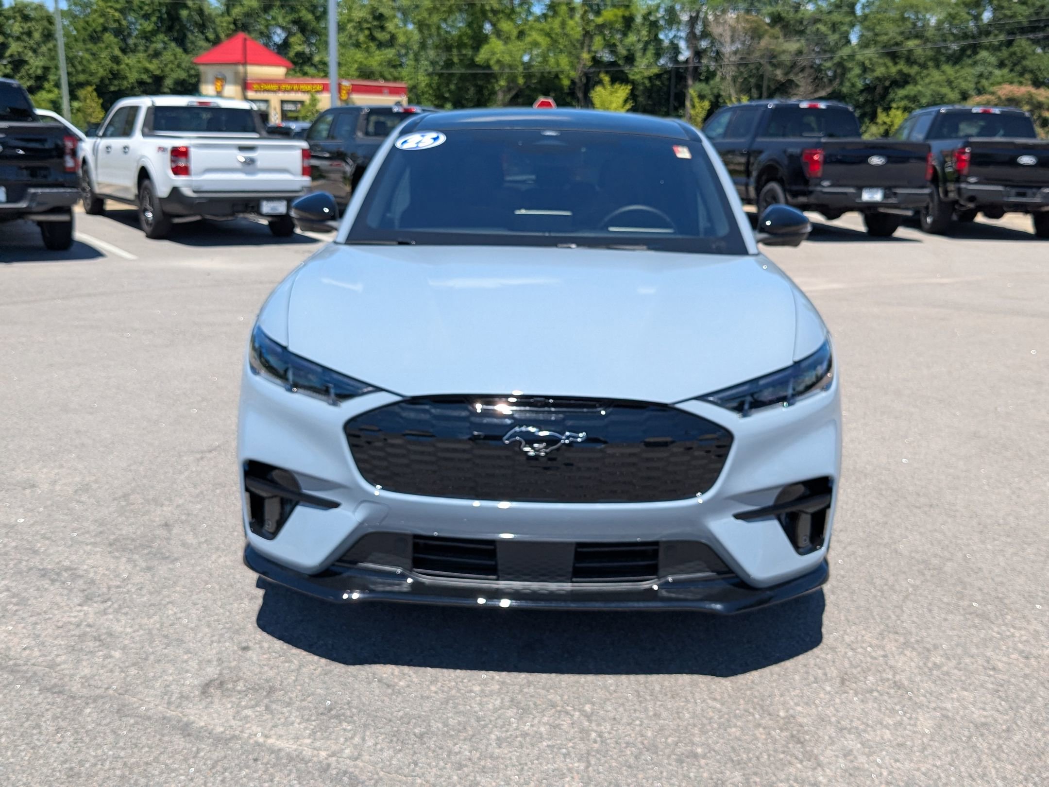 2025 Ford Mustang Mach-E GT photo 3