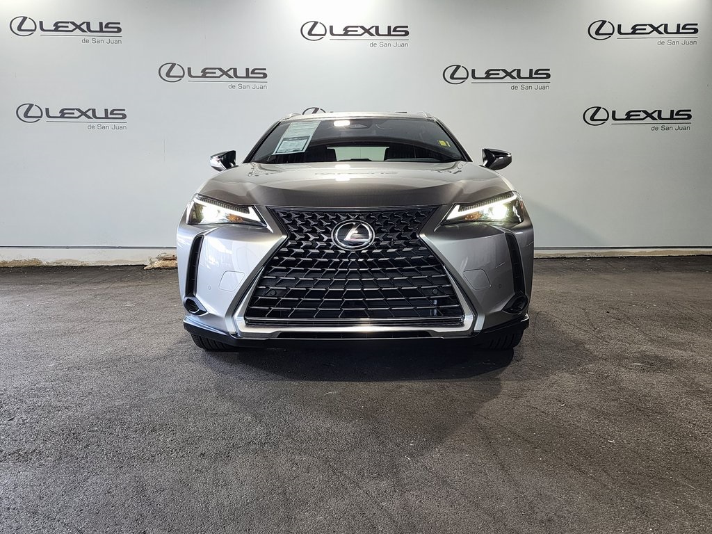 2025 Lexus UX photo 6