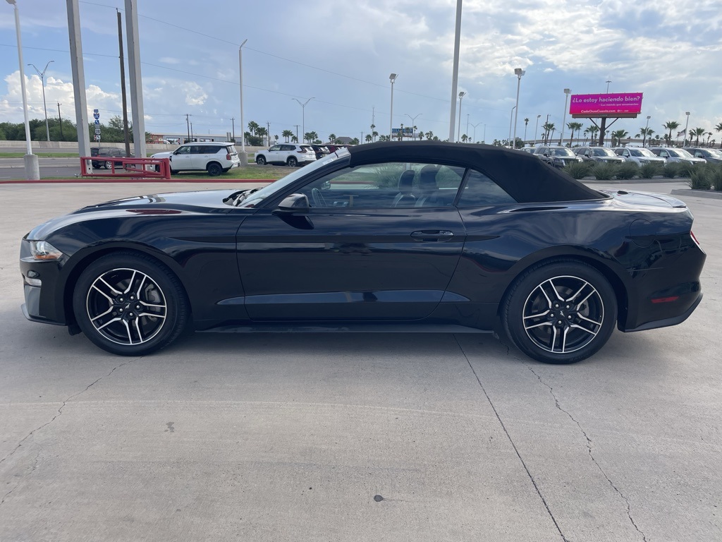 2023 Ford Mustang EcoBoost Premium photo 3