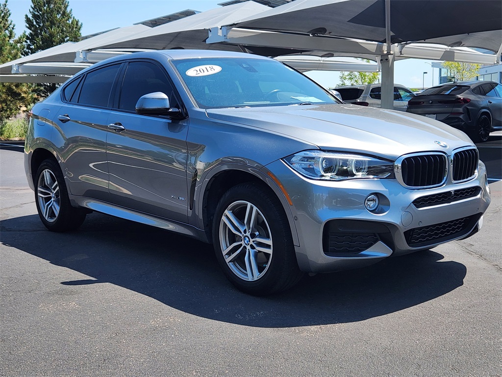 2018 Bmw X6 xDrive35i photo 4