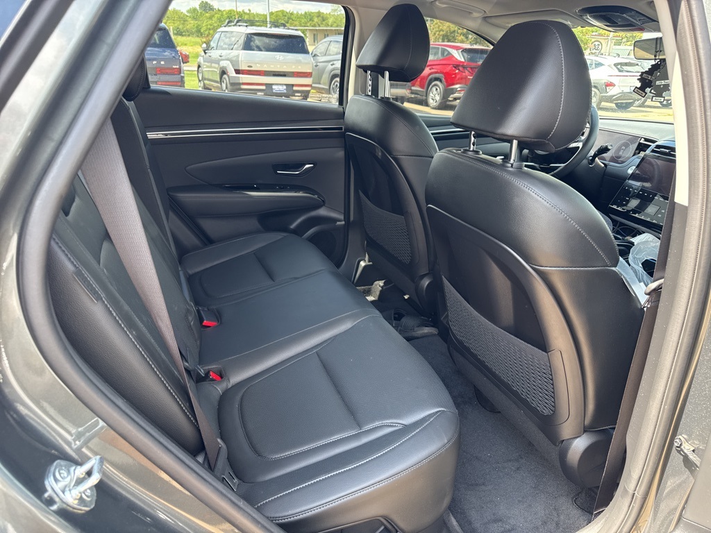 2024 Hyundai Tucson Hybrid Limited photo 6